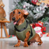 Picture of JoyDaog Dog Jacket with Harness,Fleece Lined Warm Puppy Coat for Winter,Soft Windproof Medium Dog Vest,Green XL
