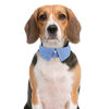 Picture of Faleela Cotton Plaid Shirt Style Dog Collar Soft Cute,Boy Dog Collar with Quick-Release Buckle,Adjustable Bow Tie Collar for Small Medium Large Dogs