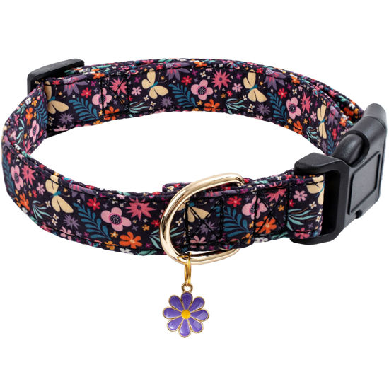 Picture of Faygarsle Cotton Designer Dogs Collar Cute Flower Dog Collars for Girl Female Small Medium Large Dogs with Purple Flower Charms L