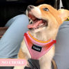 Picture of YIMEIS Dog Harness and Leash Set, No Pull Soft Mesh Pet Harness, Reflective Adjustable Puppy Vest for Small Medium Large Dogs, Cats (Pink, Medium (Pack of 1)