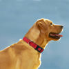 Picture of Taglory Reflective Dog Collar with Safety Locking Buckle, Adjustable Nylon Pet Collars for Large Dogs Female Male, Red, L