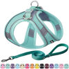 Picture of AIITLE Escape Proof Dog Harness - Step in Adjustable Dog Harness No Choke Over with Breathable Mesh and Quick-Release Buckle - Outdoor Walking, Training for Medium Dogs Pure Turquoise XL
