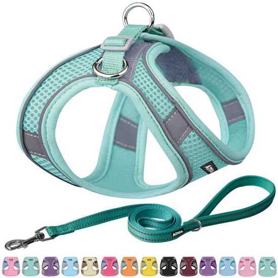 Picture of AIITLE Escape Proof Dog Harness - Step in Adjustable Dog Harness No Choke Over with Breathable Mesh and Quick-Release Buckle - Outdoor Walking, Training for Medium Dogs Pure Turquoise XL