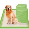 Picture of Gardner Pet Pee Pads for Dogs Extra Large 28"x34", XL Thicker ECO Green Disposable Xlarge Puppy Training Pads Super Absorbent Full Edge-Wrapping Pad for Dogs, Puppies, Doggie, Cats, Rabbits-(10 Count)