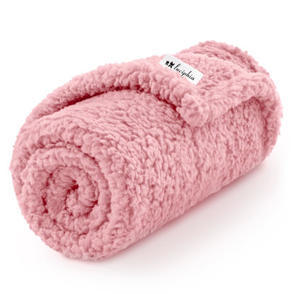 Picture of Luciphia Premium Fleece Dog Puppy Blanket Soft Pet Sherpa Calming Cat Blanket Throw for Small Medium Dog Cat(Pink,41x31 inches)