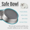 Picture of PEGGY11 Stainless Steel Metal Cat Bowls, Nonslip Rubber Bottom, Dishwasher Safe, Easy to Clean - 2 Pack, Each Holds 2 US Cup