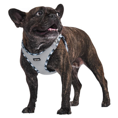 Picture of AMTOR Dog Harness with Leash Set,No Pull Adjustable Reflective Puppy Harness with Padded Vest for Extra-Small/Small Medium Large Dogs and Cats(Grey,XL)