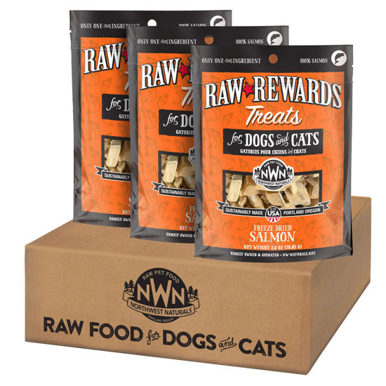 Picture of Northwest Naturals Raw Rewards Freeze-Dried Salmon Treats for Dogs and Cats - Bite-Sized Pieces - Healthy, 1 Ingredient, Human Grade Pet Food, All Natural - 2.5 Oz (Pack of 3)
