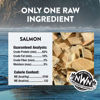 Picture of Northwest Naturals Raw Rewards Freeze-Dried Salmon Treats for Dogs and Cats - Bite-Sized Pieces - Healthy, 1 Ingredient, Human Grade Pet Food, All Natural - 2.5 Oz (Pack of 3)