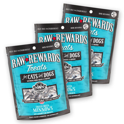 Picture of Northwest Naturals Raw Rewards Freeze-Dried Minnow Treats for Dogs and Cats - Bite-Sized Pieces - Healthy, 1 Ingredient, Human Grade Pet Food, All Natural - 1 Oz (Pack of 3)