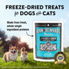 Picture of Northwest Naturals Raw Rewards Freeze-Dried Minnow Treats for Dogs and Cats - Bite-Sized Pieces - Healthy, 1 Ingredient, Human Grade Pet Food, All Natural - 1 Oz (Pack of 3)