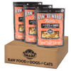Picture of Northwest Naturals Raw Rewards Freeze-Dried Shrimp Treats for Dogs and Cats - Bite-Sized Pieces - Healthy, 1 Ingredient, Human Grade Pet Food, All Natural - 1 Oz (Pack of 3)