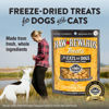 Picture of Northwest Naturals Raw Rewards Freeze-Dried Cheddar Cheese Treats for Dogs and Cats - Bite-Sized Pieces - Healthy, 1 Ingredient, Human Grade Pet Food, Natural - 6 Oz (Pack of 3)