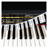 Picture of Removable Piano Keyboard Note Labels, Silicone Piano Notes Stickers Guide for Beginner, Reusable 88 Key Full Size Piano Key Music Notes Letter Label
