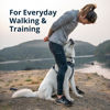 Picture of Ruffwear, Front Range Dog Harness, Reflective and Padded, No Pull Harness for Training and Everyday, Basalt Gray, Medium