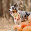 Picture of ADOGGYGO Fall Dog Bandana, Pumpkin Maple Leaf Autumn Thanksgiving Dog Scarf, Adjustable Fit Pet Fall Bandanas for Large X-Large Dogs Pets (X-Large, Fall)