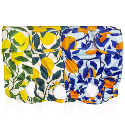 Picture of Pet Magasin Reusable Washable Dog Diapers (Pack of 3), Highly Absorbent with Strong & Flexible Velcro (Botanical Fruit, Large (16”-24” Waist))