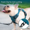 Picture of PoyPet No Pull Dog Harness, No Choke Reflective Dog Vest, Adjustable Pet Harnesses with 2 Leash Attachments with Easy Control Padded Handle for Small Medium Large Dogs(Tumalo Teal,XL)