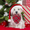 Picture of ADOGGYGO Christmas Dog Bandanas with Tassels Edges, Stylish Red Green Plaid Dog Christmas Scarf Bib, Multiple Sizes Offered, Pet Christmas Bandanas for Small Dogs (Christmas, Small)