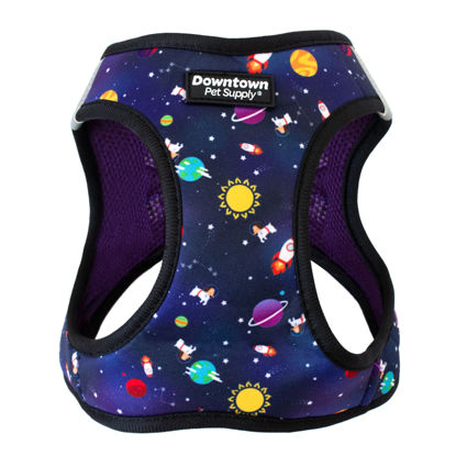Picture of Downtown Pet Supply Step in Dog Harness for Small Dogs No Pull, Medium, Space - Adjustable Harness with Padded Mesh Fabric and Reflective Trim - Buckle Strap Harness for Dogs