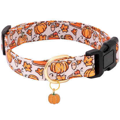 Picture of Faygarsle Orange Dog Collar with Pumpkin Leaf Patterns Cute Puppy Collar for Fall Autumn Seasons Dog Collar for Small Medium Large Dogs Stylish Dog Necklace for Male Female Boy Girl Dogs M