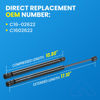 Picture of ARANA 17 inch 28 Lbs Gas Struts C16-02622 17.5inch Spring Shocks for Truck Cap Topper Camper Shell Window Glass C1602622, 2Pcs
