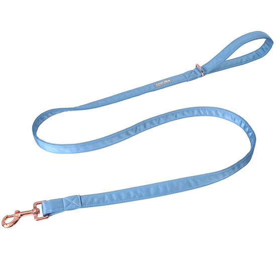 Picture of Lionet Paws Dog Leash - Silk Blue Leash for Small Medium Large Dogs Matching Collar for Girl and Boy