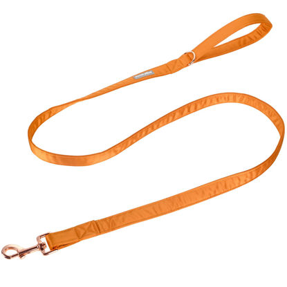 Picture of Lionet Paws Dog Leash - Silk Orange Leash for Small Medium Large Dogs Matching Collar for Girl and Boy