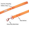 Picture of Lionet Paws Dog Leash - Silk Orange Leash for Small Medium Large Dogs Matching Collar for Girl and Boy