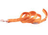 Picture of Lionet Paws Dog Leash - Silk Orange Leash for Small Medium Large Dogs Matching Collar for Girl and Boy