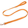 Picture of Lionet Paws Dog Leash - Silk Orange Leash for Small Medium Large Dogs Matching Collar for Girl and Boy