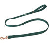 Picture of Lionet Paws Dog Leash - Silk Green Leash for Small Medium Large Dogs Matching Collar for Girl and Boy
