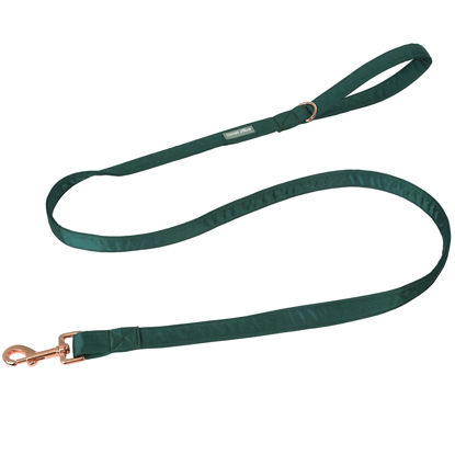 Picture of Lionet Paws Dog Leash - Silk Green Leash for Small Medium Large Dogs Matching Collar for Girl and Boy