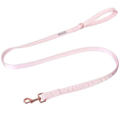 Picture of Lionet Paws Dog Leash - Silk Pink Leash for Small Medium Large Dogs Matching Collar for Girl and Boy