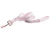 Picture of Lionet Paws Dog Leash - Silk Pink Leash for Small Medium Large Dogs Matching Collar for Girl and Boy