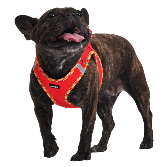Picture of AMTOR Dog Harness with Leash Set,No Pull Adjustable Reflective Puppy Harness with Padded Vest for Extra-Small/Small Medium Large Dogs and Cats(Red,S)