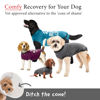 Picture of BellyGuard Recovery Suit for Dogs, After Surgery Dog Recovery Suit Female and Male, Soft Cotton Dog Surgery Suit Female Spay, Dog Surgical Recovery Suit Male Neuter, Comfy Surgical Onesie for Dogs.