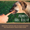 Picture of Mighty Paw Naturals Bully Sticks for Dogs - Grass Fed Beef Dog Chews. Dog Bully Sticks for Large Dogs, Medium and Small Breeds. Lower Odor Bully Sticks for Small Dogs. Single Ingredient (12" - 5 Pack)