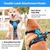 Picture of PoyPet No Pull Dog Harness, No Choke Front Clip Dog Reflective Harness, Adjustable Soft Padded Pet Vest with Easy Control Handle for Small to Large Dogs(Blue,L)