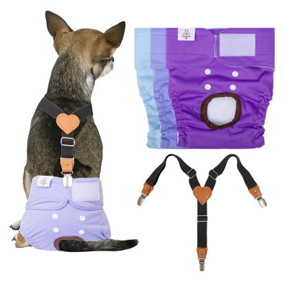 Picture of CuteBone Dog Diapers Female Large 3 Pack Reusable Doggy Diapers Female with One Suspender for Dog Period BDD01L