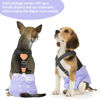 Picture of CuteBone Dog Diapers Female Large 3 Pack Reusable Doggy Diapers Female with One Suspender for Dog Period BDD01L