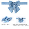 Picture of Lionet Paws Bowtie Dog Collar - Comfortable Silk Dog Collar with Detachable Bow Tie for Puppy and Cat, Neck 8-12 Inches