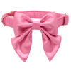 Picture of Lionet Paws Bowtie Dog Collar - Comfortable Silk Dog Collar with Detachable Bow Tie for XLarge Dogs, Neck 16-26 Inches