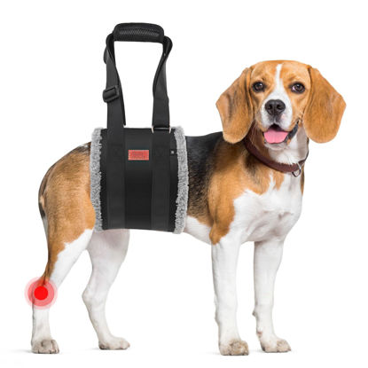 Picture of Adjustable Dog Lift Harness, Dog Sling for Large Dogs Hind Leg Support, Soft Lift Support Helps Senior, Injured, Disabled and After ACL Surgery Dogs-Black & Grey (Medium)