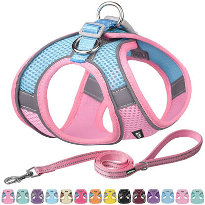 Picture of AIITLE Small Harness for Puppy with A Leash - Summer Dog Vest Harness with Super Breathable Mesh, Reflective No-Pull Pet Harness for Outdoor Walking, Running for Small Dogs, Cats Pink XXS