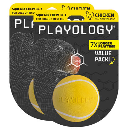 Picture of Playology Squeaky Chew Ball for Dogs | Engaging All-Natural Chicken Scented Dog Toy for Medium Dogs up to 50lbs, Value 2-Pack | Squeak, Fetch, and Play!