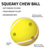 Picture of Playology Squeaky Chew Ball for Dogs | Engaging All-Natural Chicken Scented Dog Toy for Medium Dogs up to 50lbs, Value 2-Pack | Squeak, Fetch, and Play!