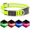 Picture of Vizpet LED Dog Collar, Light Up Dog Collar Adjustable USB Rechargeable Super Bright Safety Light Glowing Collars for Dogs(X-Large,Green)