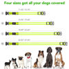 Picture of Vizpet LED Dog Collar, Light Up Dog Collar Adjustable USB Rechargeable Super Bright Safety Light Glowing Collars for Dogs(X-Large,Green)