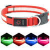 Picture of Vizpet LED Dog Collar, Light Up Dog Collar Adjustable USB Rechargeable Super Bright Safety Light Glowing Collars for Dogs(Small,Red)